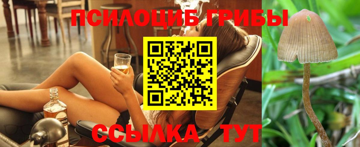 Березники  Галлюциногенные грибы ЛСД  Псилоцибиновые грибы мухоморы  Вход с VPN 